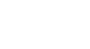 Pro'pulse Logo